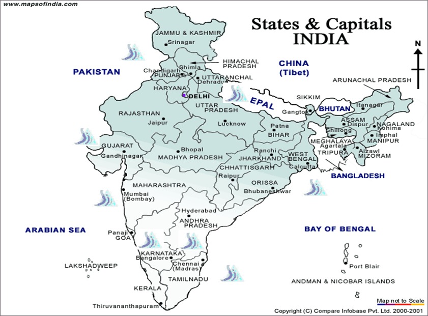Spectrum Ingredients presence across major Indian cities